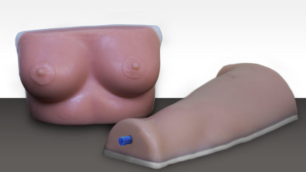 Simulador anatómico